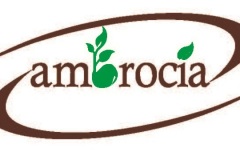 AMBROCIA